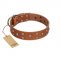 "Enchanted Skulls" FDT Artisan Tan Leather Belgian Malinois Collar with Chrome Plated Skulls