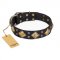 "Fancy-Schmancy" FDT Artisan Studded Leather Belgian Malinois Collar