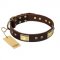 "Rich Fashion" FDT Artisan Decorated Leather Belgian Malinois Collar with Plates and Studs