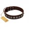"Gothic Style" FDT Artisan Fancy Brown Leather Belgian Malinois Collar with Silver-Like Decorations