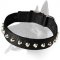 Wide Nylon Collar with nickel pyramids for Belgian Malinois