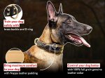 Deluxe Royal Nappa Padded Leather Collar