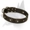 'Flower Blues' Stylish Belgian Malinois Leather Dog Collar