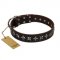 "Stars of Glory" FDT Artisan Brown Leather Belgian Malinois Collar for Comfortable Walking