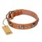 "Era of Future" FDT Artisan Handcrafted Tan Leather Belgian Malinois Collar with Decorations