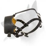 Handmade Leather Muzzle for Belgian Malinois