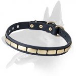 Trendy Leather Collar With Antiques Plates