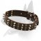 Cool Spiked and Studded Leather Collar for Belgian Malinois