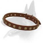Studded Leather Collar for Belgian Malinois