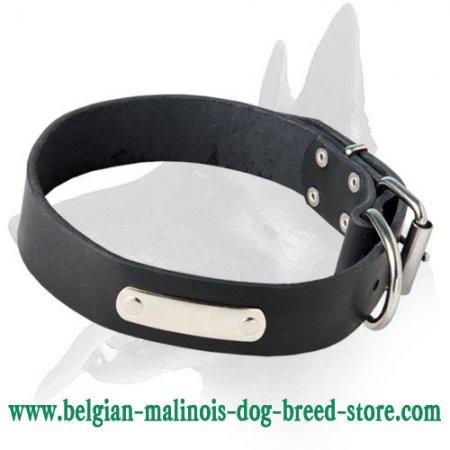 Magnificent Malinois Leather Collar With ID Tag