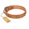 "Feast of Luxury" FDT Artisan Tan Leather Belgian Malinois Collar with Old Bronze Look Circles