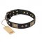 "Jewel Passion" FDT Artisan Fashionable Black Leather Belgian Malinois Collar