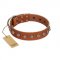 "Heroic Deeds" Designer Handmade FDT Artisan Tan Leather Belgian Malinois Collar