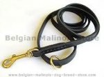 Handcrafted leather dog leash width 1/2 inch with solid brass