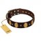 "Crystal Mirror" FDT Artisan Handmade Brown Leather Belgian Malinois Collar - 1 1/2 inch (40 mm) Wide