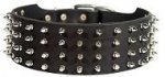 Most Durable Leather Collar With Shiny Spikes
