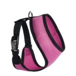 Nylon Mesh Harness_2