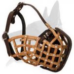 Leather Basket Muzzle for Belgian Malinois