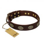 "Chocolate kiss" FDT Artisan Leather Belgian Malinois Collar with Old Bronze Look Oval Plates