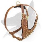 Spiked Leather Harness for Belgian Malinois