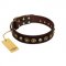 "Street Fashion" FDT Artisan Brown Leather Belgian Malinois Collar Adorned with Circles and Skulls