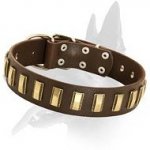 Dazzling Leather Collar with brass plates for Belgian Malinois
