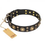 'Baroque Chic' FDT Artisan Studded Black Leather Belgian Malinois Dog Collar