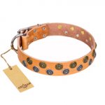 "Precious Sparkle" FDT Artisan Leather Cane Corso Collar with Unique Decor - 1 1/2 inch (40 mm) wide