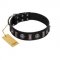 "Silver Spikes" Exclusive FDT Artisan Black Leather Belgian Malinois Collar