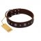 "Pure Sensation" Exclusive FDT Artisan Brown Leather Belgian Malinois Collar with Fancy Brooches and Studs