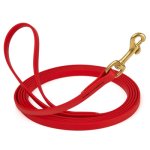 Biothane Leash 20 Ft w/ Brass Hardware_4