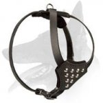 'Puppy's Dream' Luxurious Studded Belgian Malinois Harness