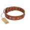 "Egyptian Gifts" Handmade FDT Artisan Tan Leather Belgian Malinois Collar with Chrome-plated Pyramids