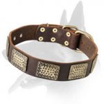 Designer Leather Collar With Old Brass Plates