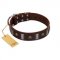 "War Chief" FDT Artisan Genuine Brown Leather Belgian Malinois Collar with Skulls and Plates