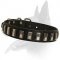 Decorated Leather Collar for Belgian Malinois