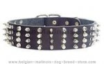 Fashionable Leather Collar With Metal Adornment