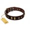 "Choco Delight" FDT Artisan Brown Leather Belgian Malinois Collar with Old Bronze-like Plates and Studs