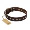 "Bronze Sheen" FDT Artisan Leather Belgian Malinois Collar with Brass-Plated Studs