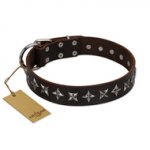 "Stars of Glory" FDT Artisan Brown Leather Belgian Malinois Collar for Comfortable Walking