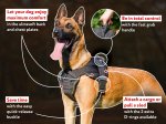 Stylish Nylon Dog Harness with Chest Plate for Belgian Malinois