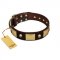 "Heavy Metal" FDT Artisan Brown Leather Belgian Malinois Collar with Old Bronze-like Skulls and Plates