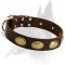 High Quality Leather Collar with oval plates for Belgian Malinois