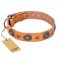 "Twinkle Twinkle" FDT Artisan Incredible Studded Tan Leather Belgian Malinois Collar