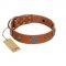 "Foxy Nature" FDT Artisan Tan Leather Belgian Malinois Collar with Chrome Plated Brooches