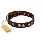 "Woofy Art" FDT Artisan Brown Leather Belgian Malinois Collar Adorned with Old Bronze-like Studs
