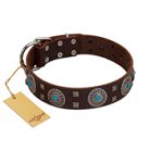 "Hypnotic Stones" FDT Artisan Brown Leather Belgian Malinois Collar with Chrome Plated Brooches and Square Studs