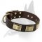 Designer Leather Collar With Vintage Plates