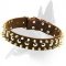 Leather Spiked and Studded Collar for Belgian Malinois