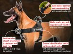 Unbelievable Nylon Dog Harness for your Belgian Malinois